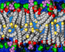 1_65Biochemistry of Cell, Cell Membrane and Membrane Transport.