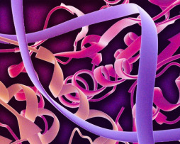 1_69Biochemistry of Enzymes